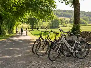 Rental bikes ready beside a country lane